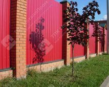 Профнастил С-8 п/э RAL 3003 (красный рубин) 0,55 мм